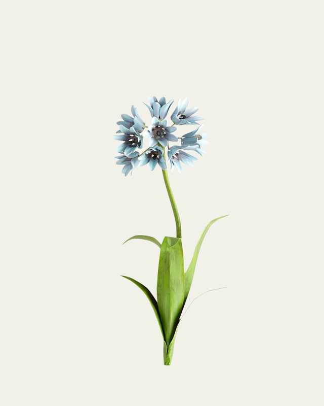Original Painted Agapanthus Study
